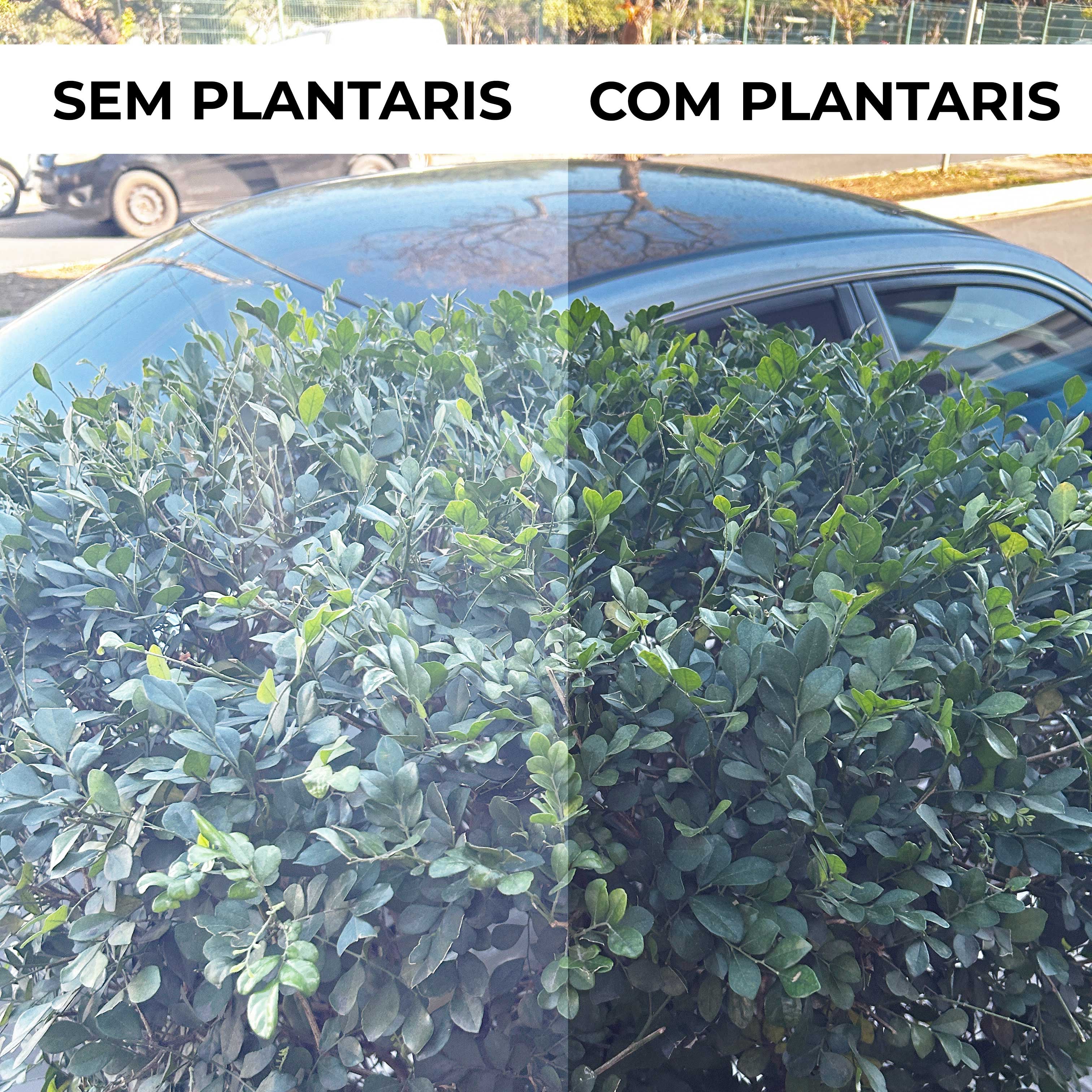 ÓCULOS DE SOL PLANTARIS PRETO